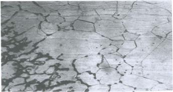 مقایسه حساسیت ورق‌های سری 300 (گرید L) و سری 400