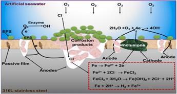 مکانیزم خوردگی یکنواخت در محیط دریایی